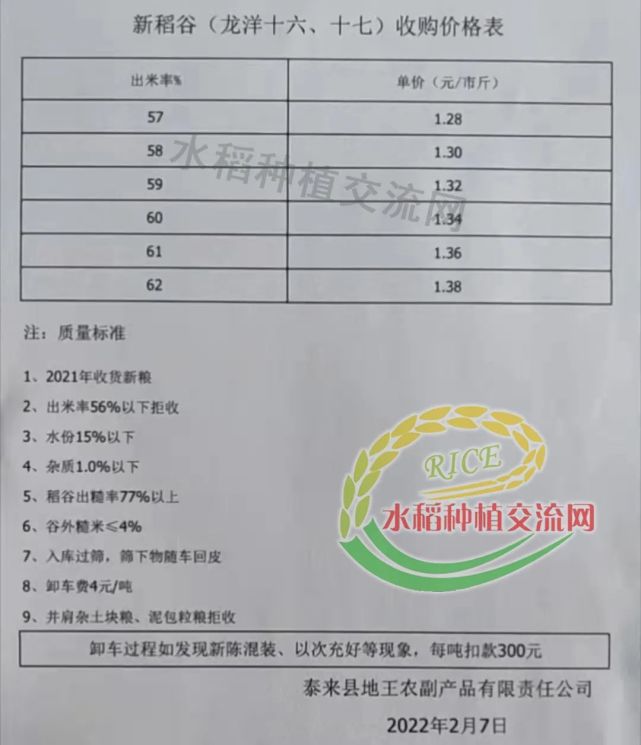 水稻价格最新动态与市场深度分析