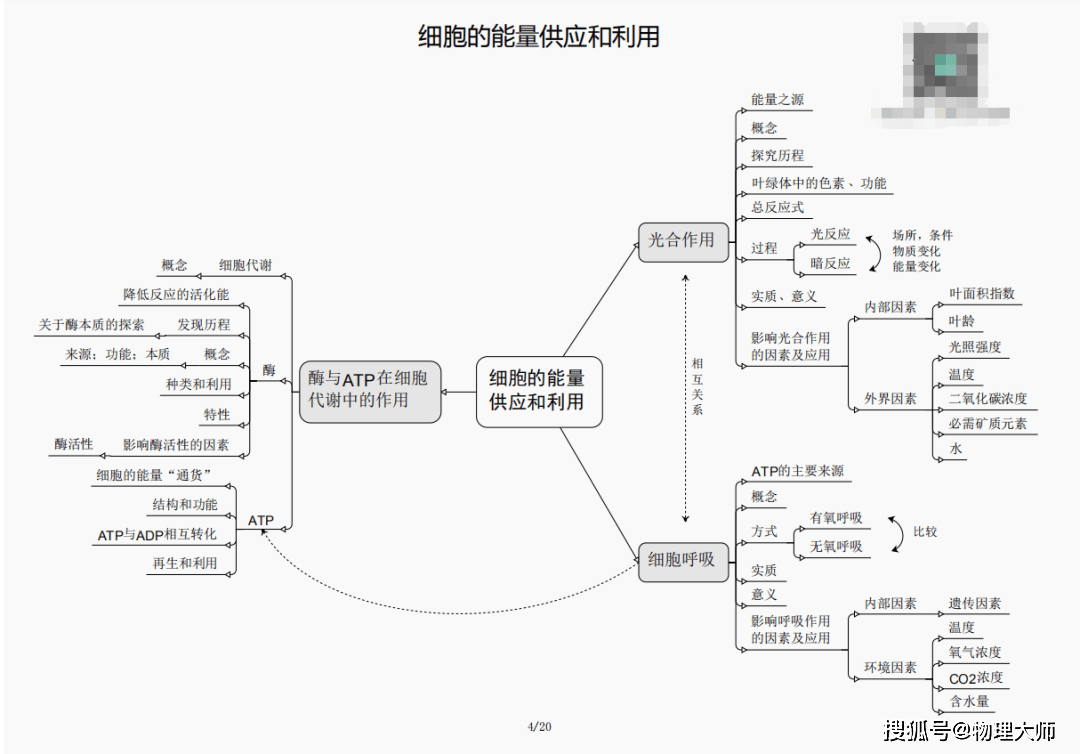 关于新澳门黄大仙三期必出的真相探讨——揭开犯罪行为的真相与危害