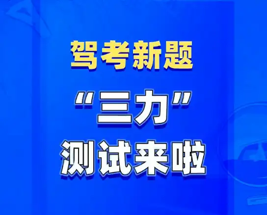 揭秘2024新奥精准资料免费获取之道