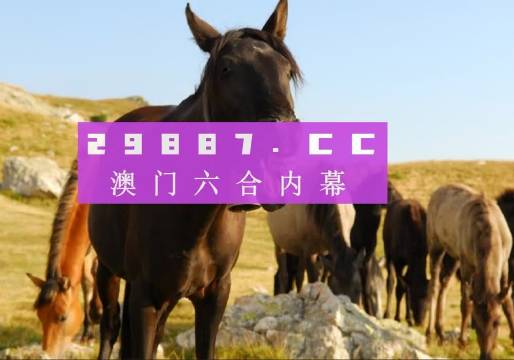 澳门管家婆一肖一码2023年——揭秘与探索