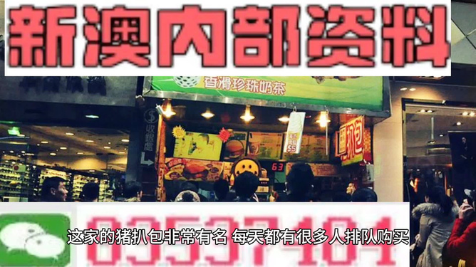 新澳六叔精准资料大全，探索与解读