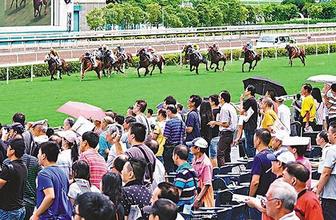 香港马资料更新最快的来源与解析