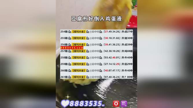 新澳2024年开奖记录详解