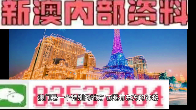 澳门内部最准免费资料——揭示违法犯罪问题的重要性