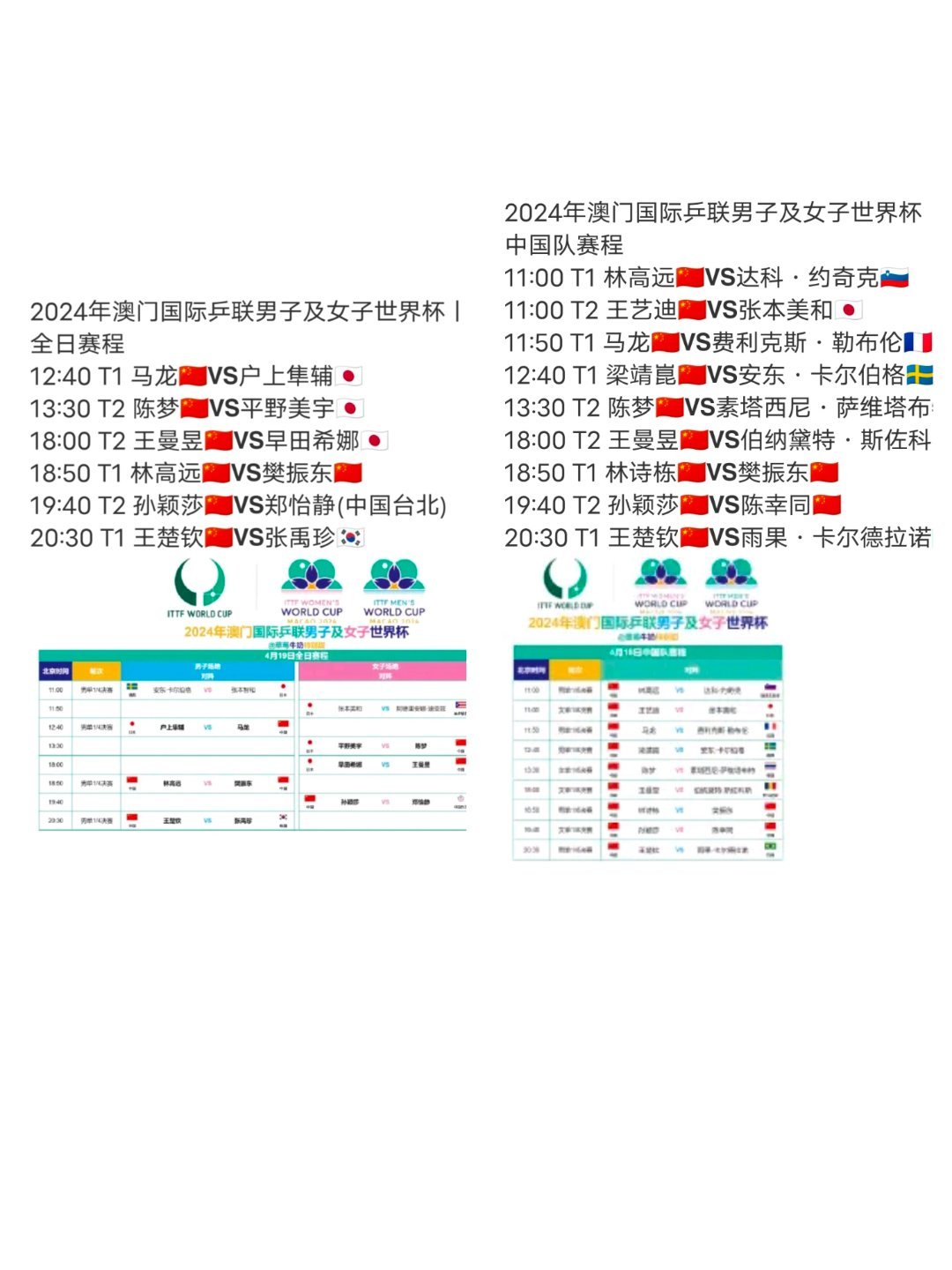 澳门全年资料概览，2024年展望