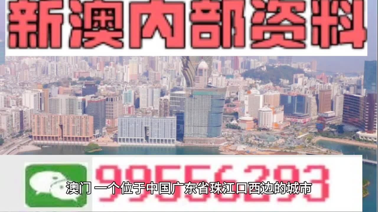 2024年12月17日 第50页