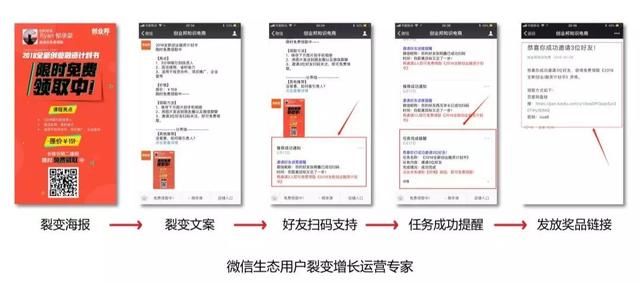 新奥天天免费资料公开,专业解析说明_kit42.850