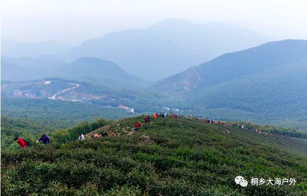 王位山最新动态，揭开神秘面纱，展现新面貌