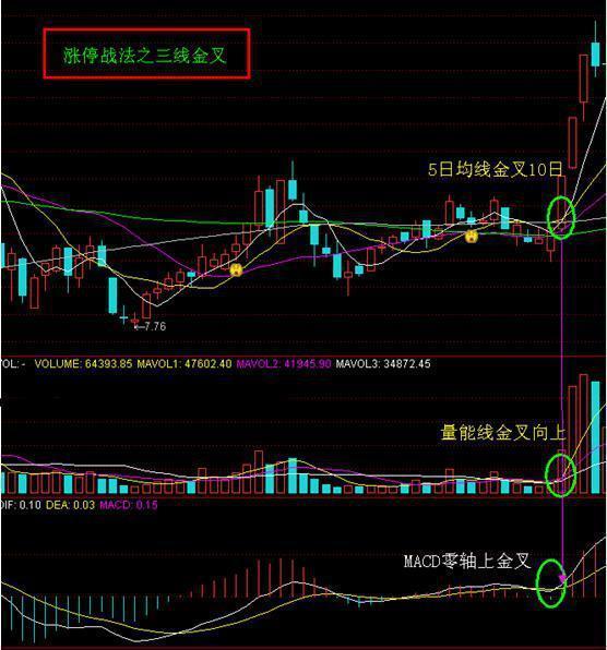 2024年12月24日 第62页