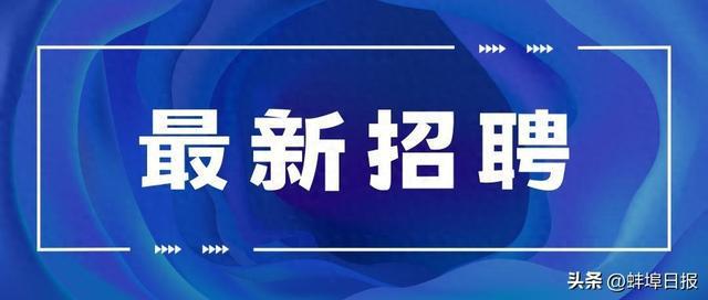 蚌埠招聘网最新招聘信息概览