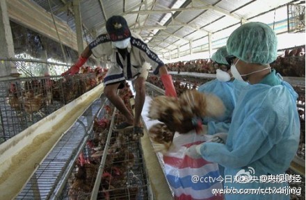 榆林市H7N9疫情最新动态分析