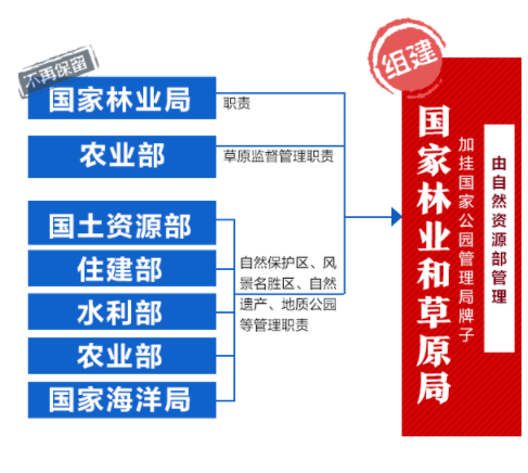 国地税合并最新进展